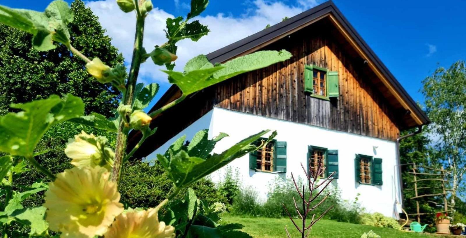 Estate Ana Guest House Ptuj Luaran gambar