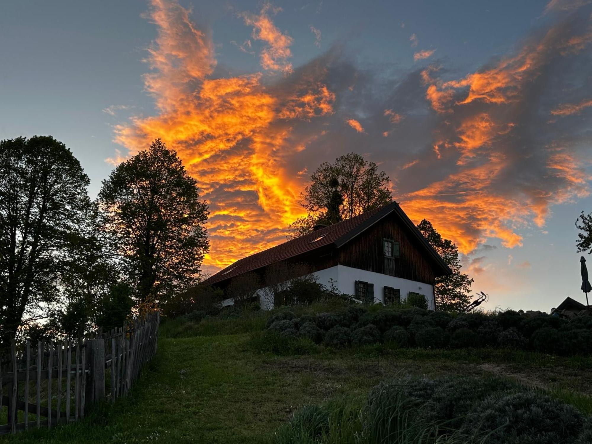 Estate Ana Guest House Ptuj Luaran gambar