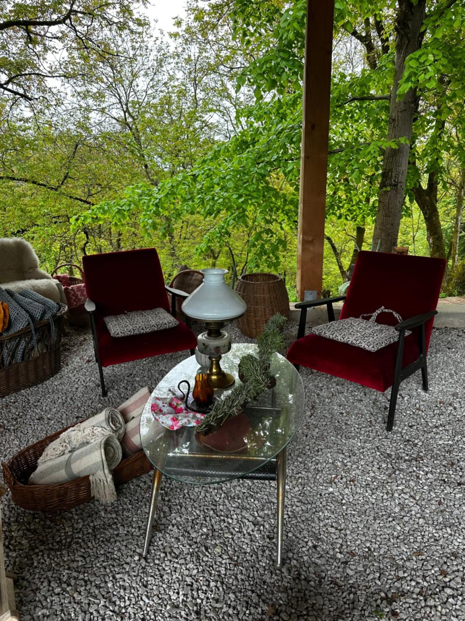 Estate Ana Guest House Ptuj Luaran gambar